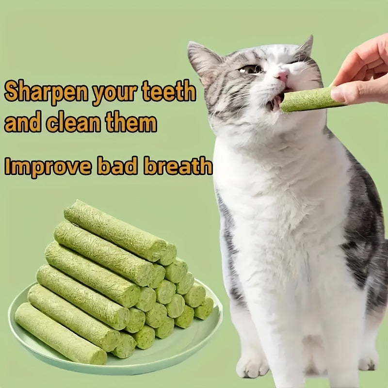 Cat Grass Sticks 18, 36 or 72 Pieces, Freeze-Dried Cat Snacks for Supervised Indoor Cat Treat Time, Everyday Rewards and Cat Owner Gift Baskets