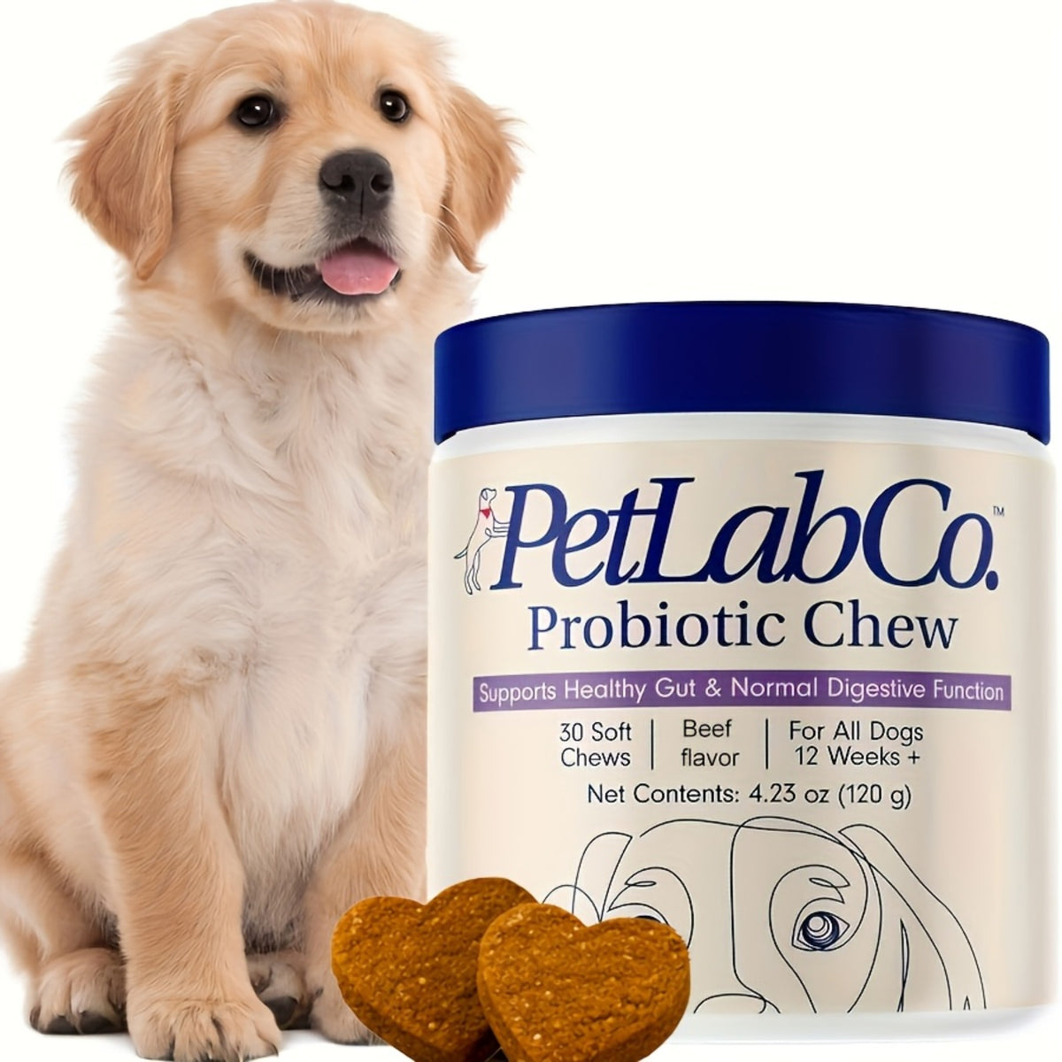 Probiotic Dog Chews 4-Jar Value Pack, Beef Flavor Soft Chews with Probiotics and Prebiotics, 30 Chews per Jar for Dogs 12 Weeks and Older