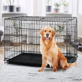 Dog Crate 42 or 48 Inch with Double Doors, Folding Metal Wire Kennel with Divider and Removable Leak-Proof Tray in Black, Blue or Pink for Home Training