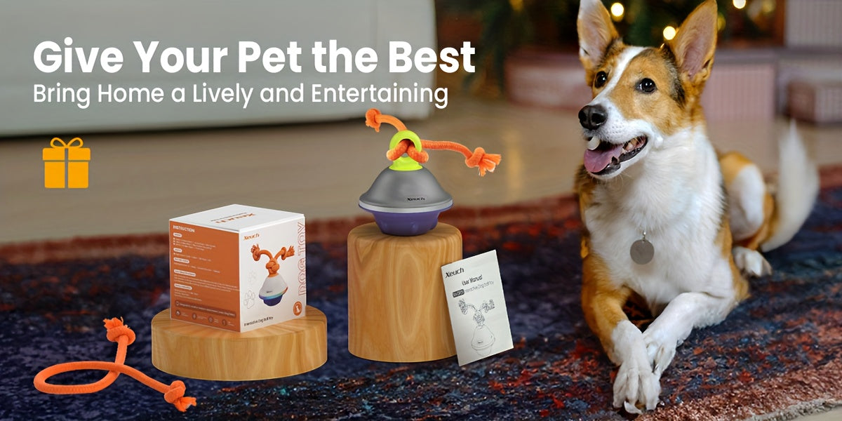 Automatic Rolling Dog Ball with Voice Recording and Rope, Interactive Moving Puppy Toy for Small and Medium Dogs, Supervised Chase Play