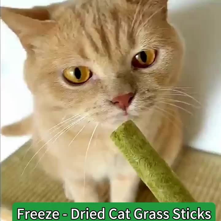 Dog Grass Treat Sticks 15 Pack, Freeze-Dried Green Chew Snacks for Supervised Reward Time, Everyday Canine Treat Routines and Holiday Gift Baskets