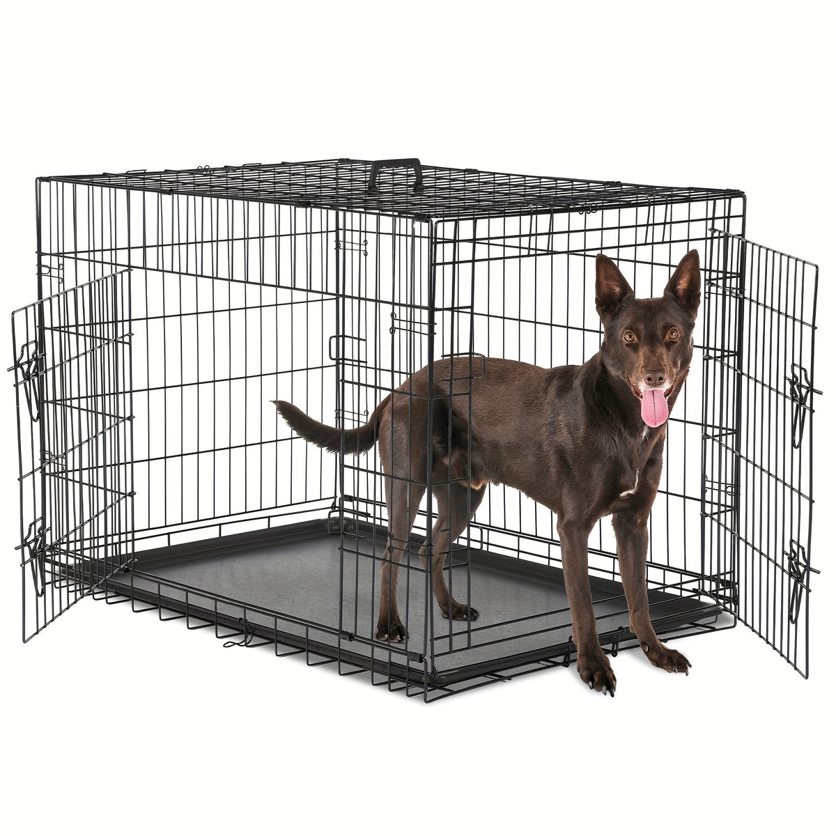 Wire Dog Crate in Black with Divider Panel and Removable Tray, Foldable Metal Pet Kennel with Carry Handle and Six Size Options for Home Training