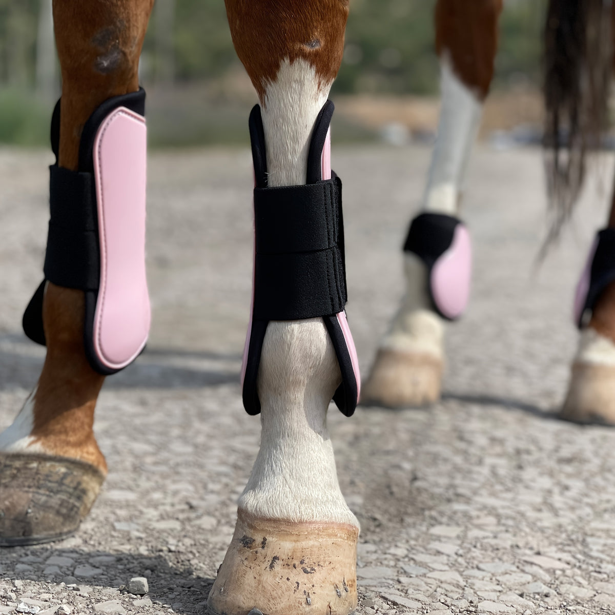 Horse Tendon Boots Set of 4, Open Front and Fetlock Leg Guards in PU and Neoprene for Riding, Jumping and Training, FULL and COB Size Options