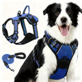 Dog Harness and 5ft Leash Bundle, Adjustable Reflective Walking Vest in Black, Blue or Red, S-XL Sizes for Everyday Walks and Training