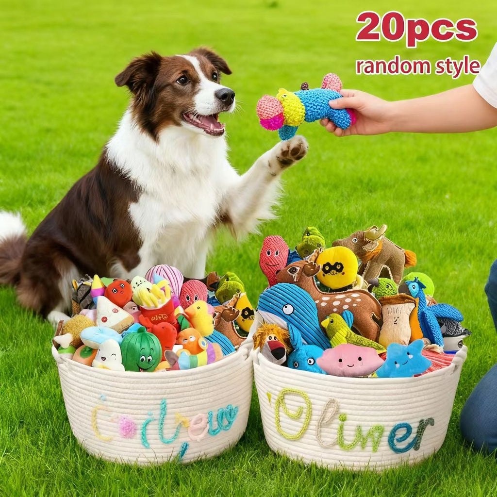 Dog Toy Assortment Box 20 Pieces, Random Chew and Squeaky Toy Mix for Small and Medium Dogs, Supervised Puppy Fetch and Tug Play