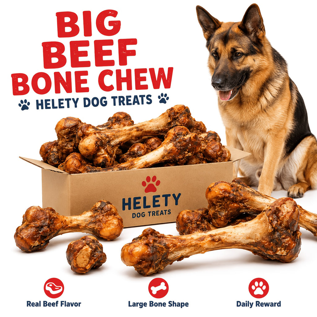 Beef Bone Dog Chews with S, L and Gift Package Options, Bone Treat Selection for Supervised Chewing Sessions and At-Home Dog Reward Routines