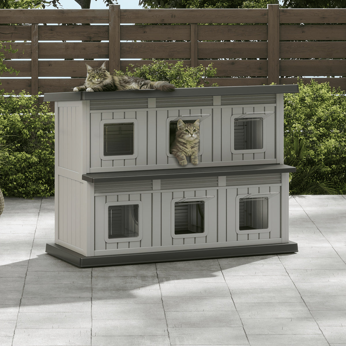 Feral Cat Shelter with Double-Layer Design, Black Indoor Outdoor Cat House for Stray Cats and Multi-Pet Resting Spaces, Sturdy Construction