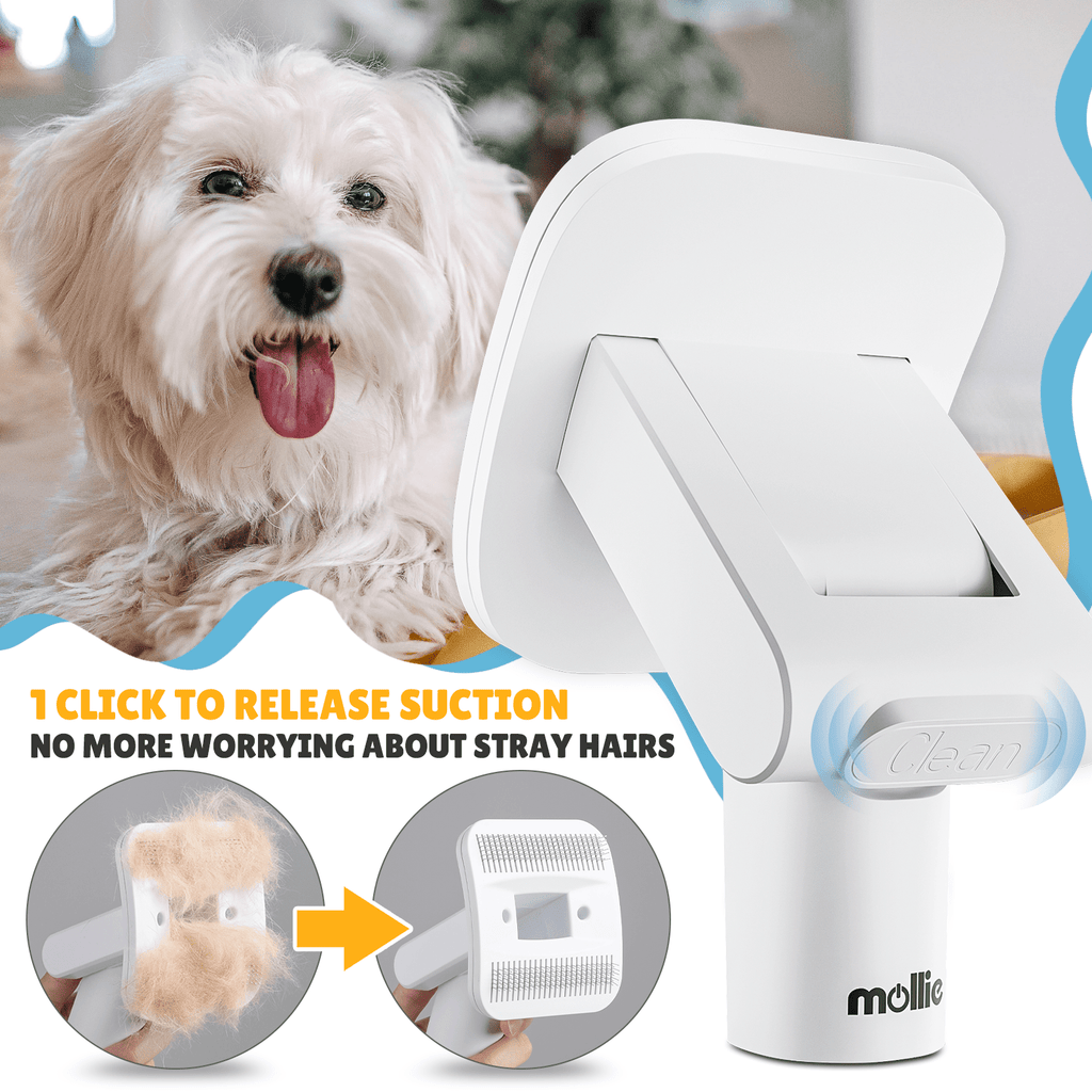 Dog Grooming Vacuum and Dryer Kit with 6 Grooming Tools, Trimmer and Guide Combs for At-Home Dog and Cat Coat Care, MoNiBloom