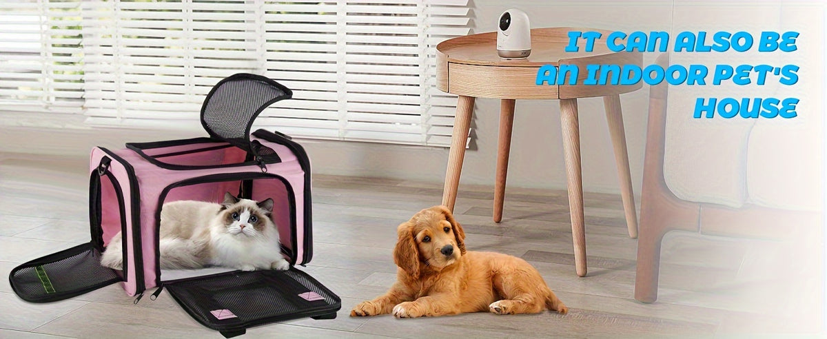 Cat Travel Carrier with Mesh Windows, Collapsible Soft-Sided Pet Bag for Cats and Small Dogs Under 15 lbs, Shoulder Strap and Padded Carry Handle