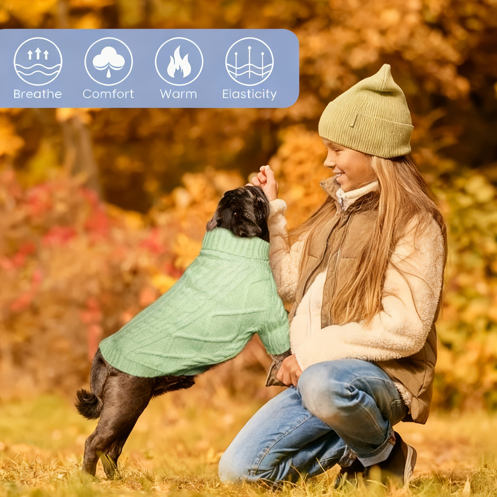 Turtleneck Dog Sweater for Small and Medium Dogs, Warm Pet Clothing in Yellow-Green, Orange Red, Fuchsia or Blue with XS to XL Size Options