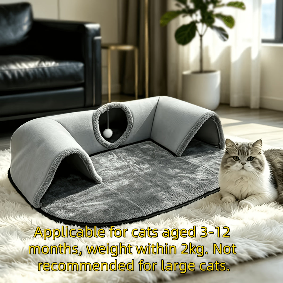 Arch Cat Tunnel Bed with Peekaboo Window and Hanging Ball, Soft Plush 2-in-1 Indoor Kitten Hideaway and Lounge Mat in Small or Large