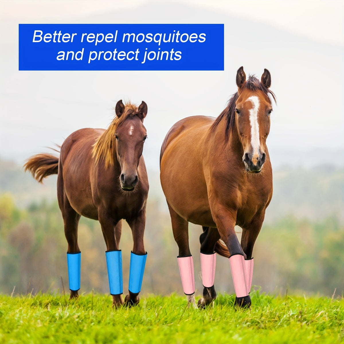 Horse Fly Leg Wraps 12-Pack, Breathable Mesh Equine Leg Covers in Random Colors for Seasonal Fly Coverage and Everyday Horse Care Routines