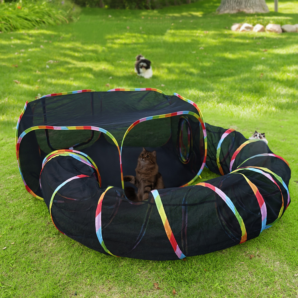 Outdoor Cat Enclosure with Play Tunnel, Portable Mesh Catio Tent with Rainbow Trim for Indoor Cats and Supervised Backyard Exploration