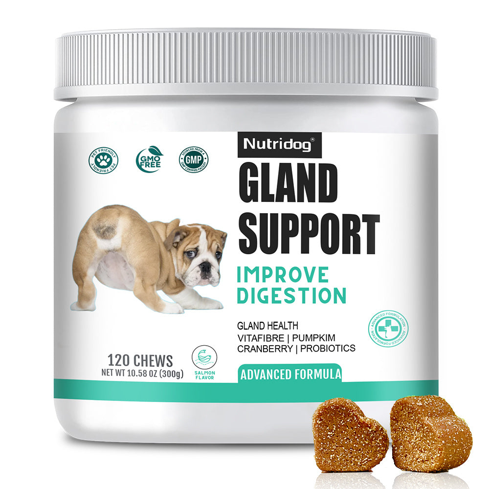 Dog Anal Gland Support Chews, Nutridog Salmon Soft Chews with Pumpkin, Psyllium Husk and Probiotics, 120-Count Fiber Supplement, 300g