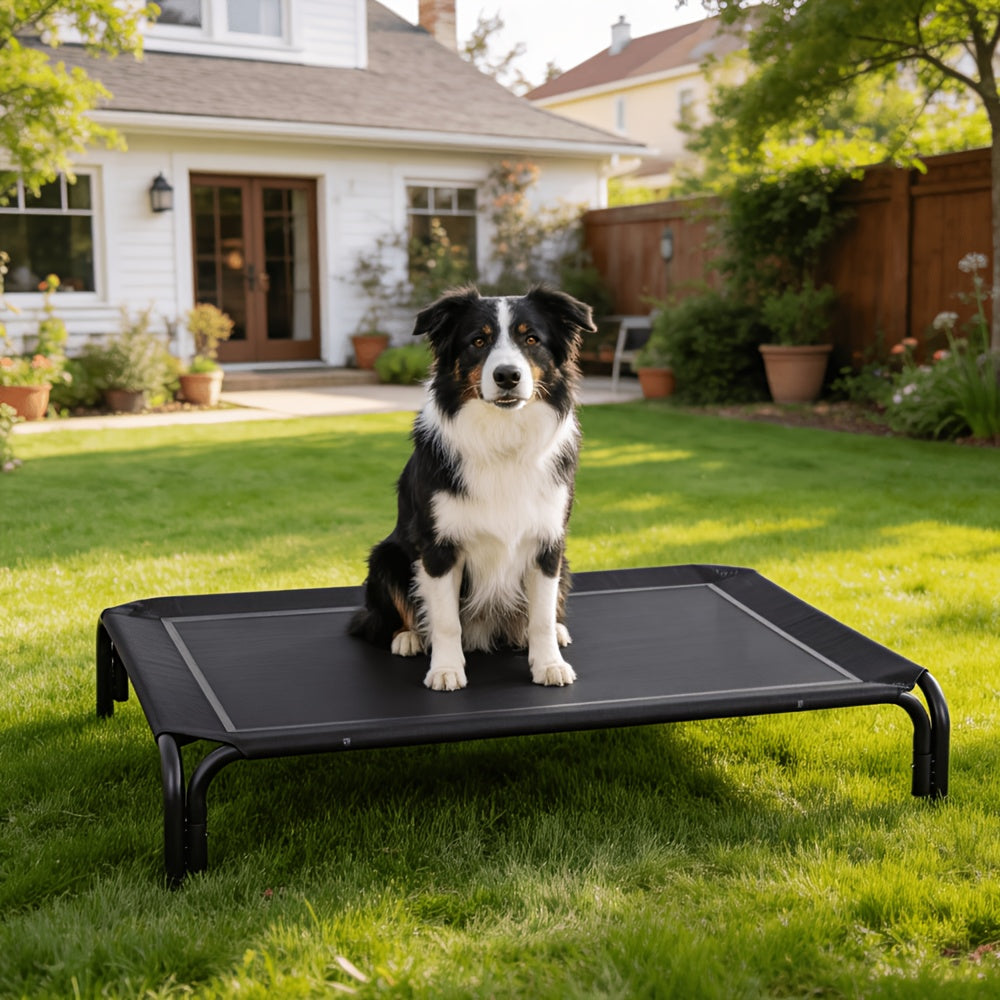 Tool-Free Elevated Dog Bed with Washable Breathable Mesh, 8-Inch Raised Outdoor Dog Cot with Metal Frame and Anti-Slip Feet for Home, Patio and Camping