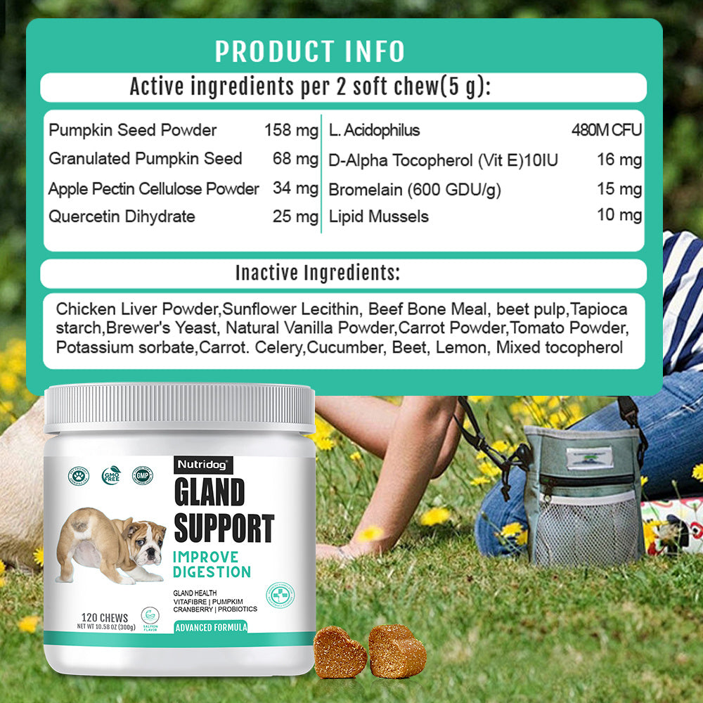 Dog Anal Gland Support Chews, Nutridog Salmon Soft Chews with Pumpkin, Psyllium Husk and Probiotics, 120-Count Fiber Supplement, 300g