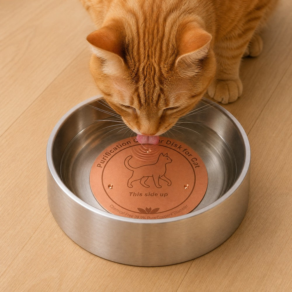 Copper Water Bowl Discs for Pets, 2-Pack 4-Inch Cat Pattern Inserts with Three-Point Support, Reusable Accessories for Pet Watering Stations
