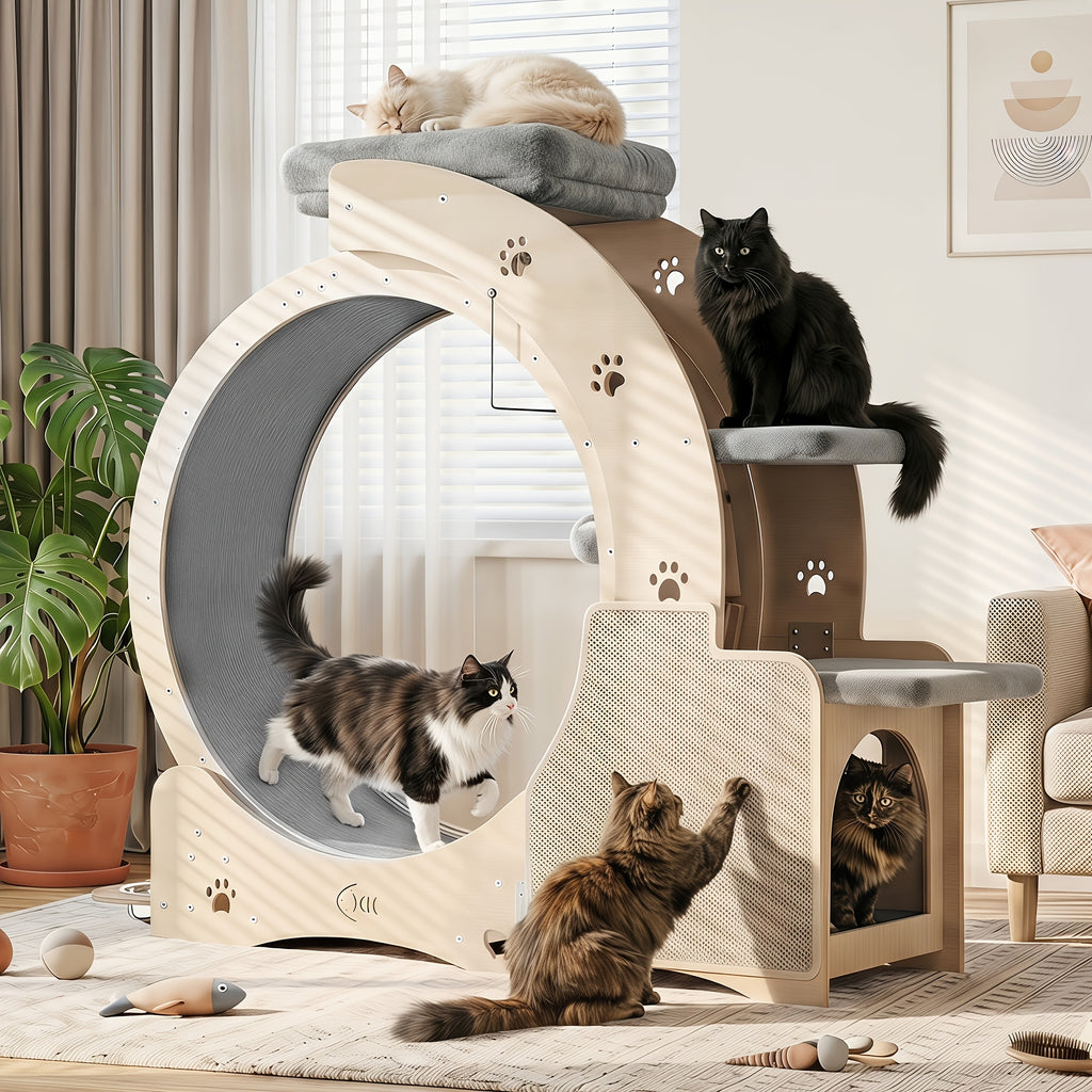 Cat Running Wheel for Indoor Exercise, Quiet Large Cat Treadmill with Stable Base in Wood Color for Daily Activity and Interactive Play