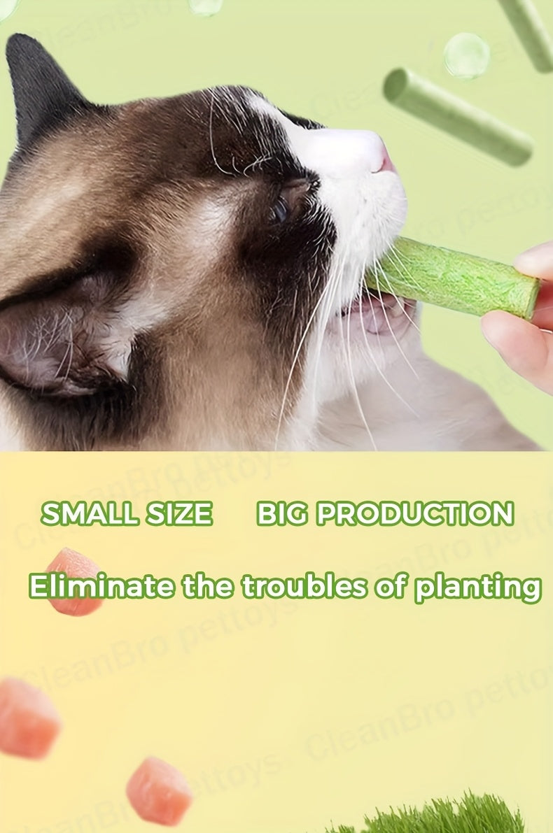 Cat Grass Chew Sticks, Freeze-Dried Edible Cat Snacks in 15 or 30 Piece Packs for Supervised Chewing, Treat Time and Cat Owner Gift Baskets