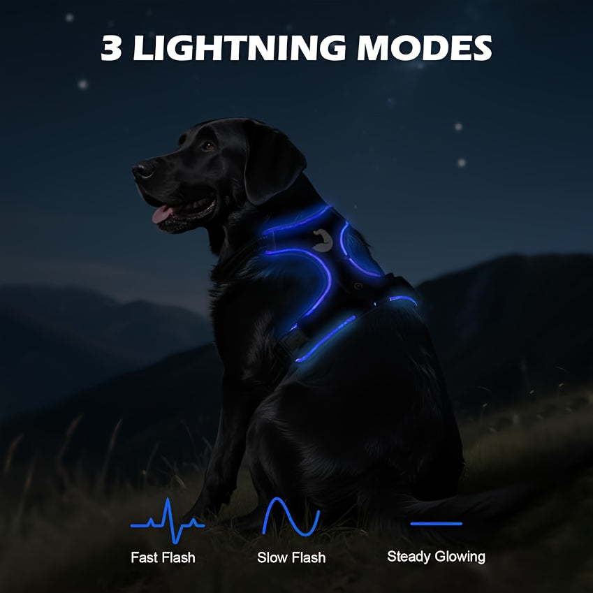 Light Up Dog Harness, Rechargeable LED Night Walking Vest with 3 Lighting Modes, Reflective Strips, Padded Mesh and Adjustable Straps, M L XL