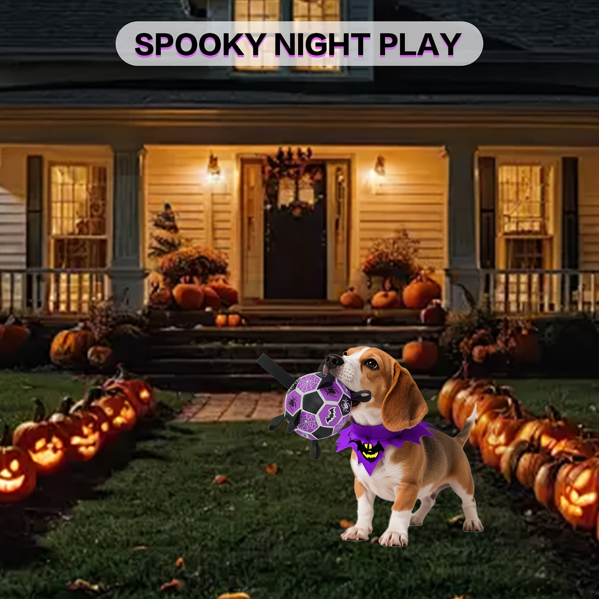 Dog Ball with Halloween Bat and Spider Web Design, Purple Black Fetch Toy with Strap and Inflator, 6 or 7.25 Inch for Supervised Interactive Play