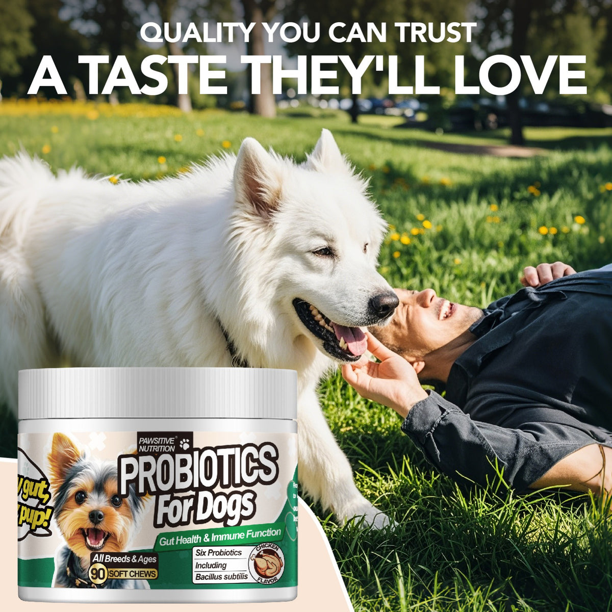 Chicken-Flavored Probiotic Chews for Dogs, Listed 90 Soft Chews with One or Three Bottle Options for Owner-Managed Canine Nutrition Routines