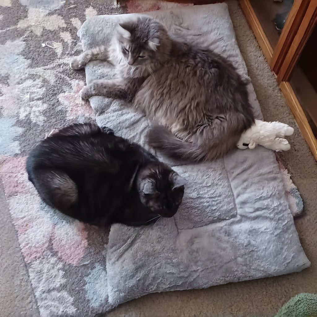 Plush Dog Pad in Gray, Soft Pet Resting Mat with Mini, Large, XLarge and XXL Options up to 70.87 x 35.43 Inches for Cozy Everyday Home Lounging