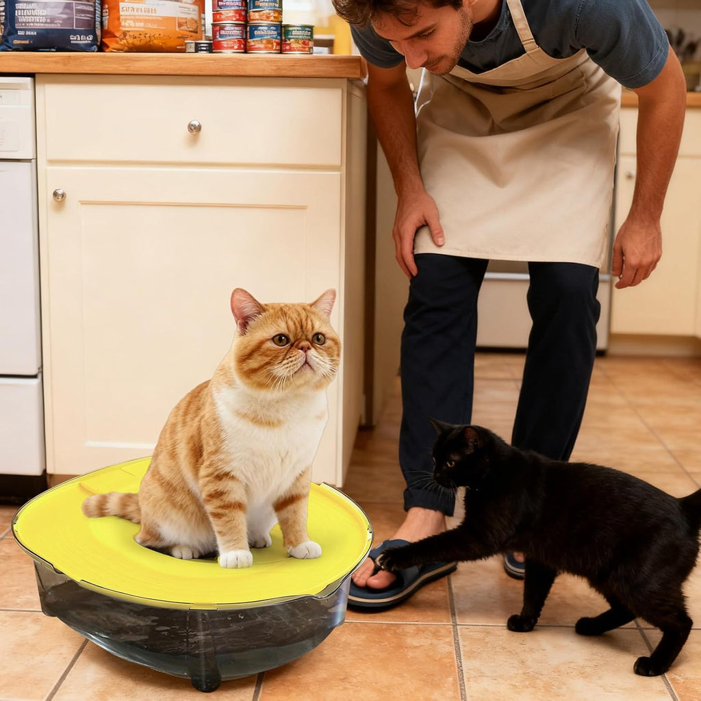 Cat Litter Pan Set with Bottom Bowl, Removable Anti-Splash Kitten Toilet for Home and Apartment Potty Routines, Blue Pink or Yellow