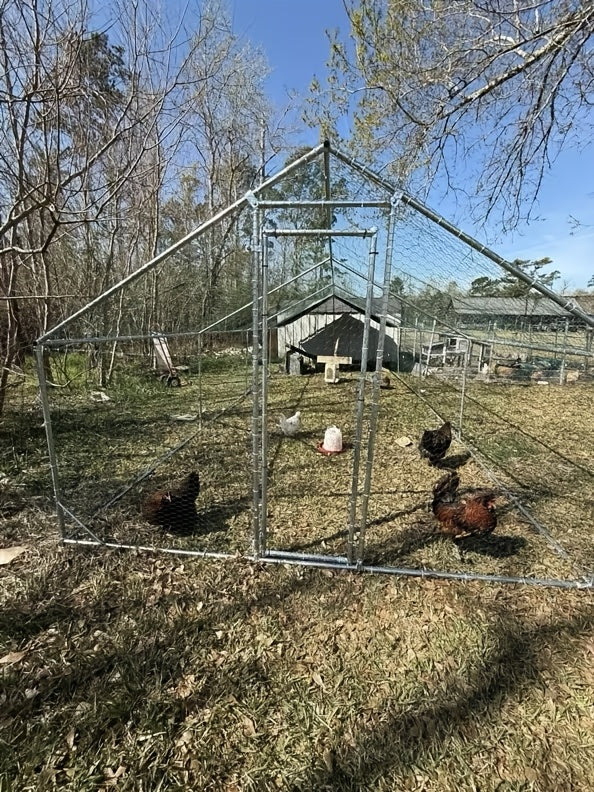 Metal Chicken Coop with UV-Resistant Cover, Walk-In Outdoor Poultry Enclosure for Backyard Hens with Flat, Dome or Spire Roof Options
