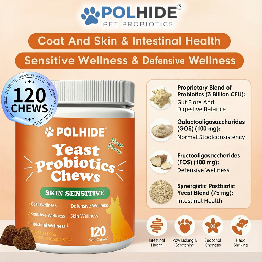 Meat Flavor Dog Probiotic Soft Chews, 120 Count Yeast Probiotic Supplement with Coat and Intestinal Care Labeling for Canine Wellness Routines