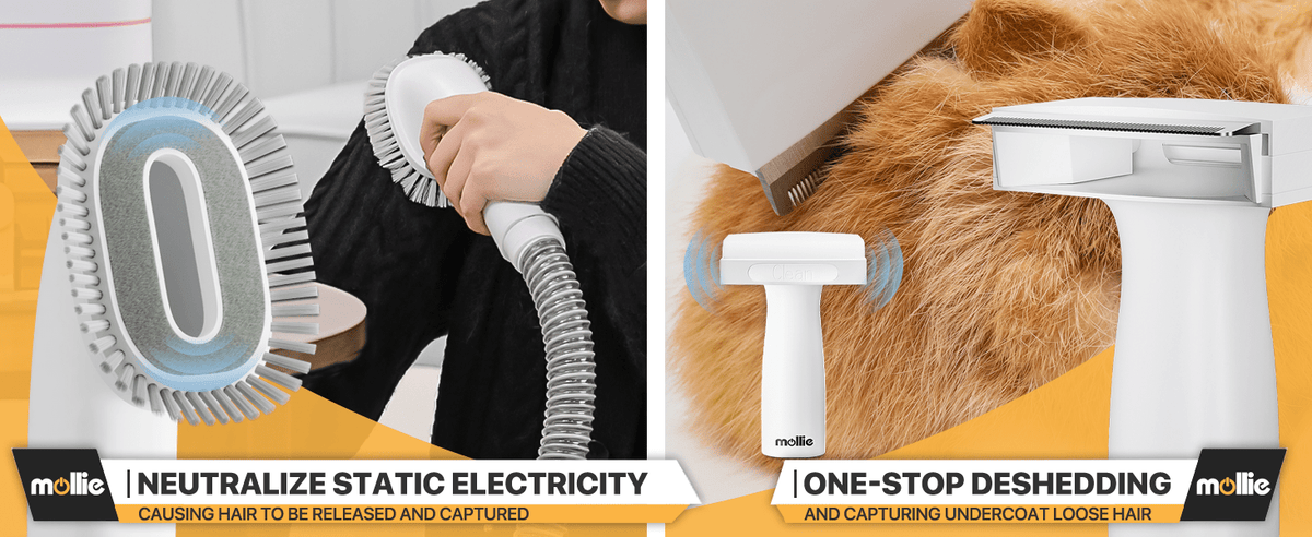 Dog Grooming Vacuum and Dryer Kit with 6 Grooming Tools, Trimmer and Guide Combs for At-Home Dog and Cat Coat Care, MoNiBloom