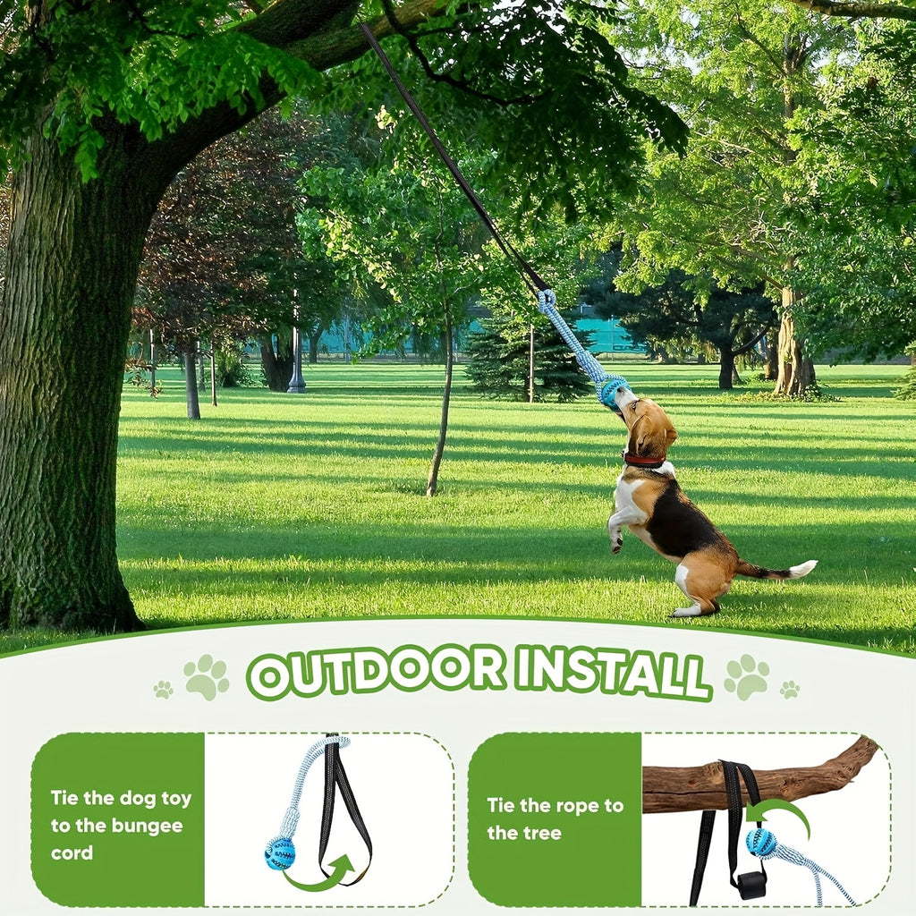 Dog Bungee Tug Toy Set for Small and Medium Dogs, Tree Hanging Tether with Two Chew Ropes and Puzzle Ball for Interactive Backyard Play