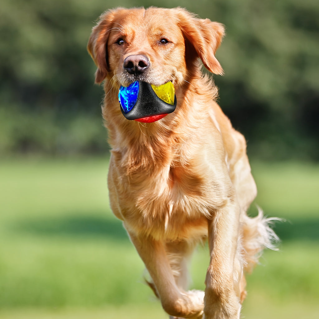 Light Up Dog Balls 4 Pack, Bounce-Activated Flashing LED Squeaky Toys with Spiny and Textured Designs for Supervised Fetch and Puppy Play