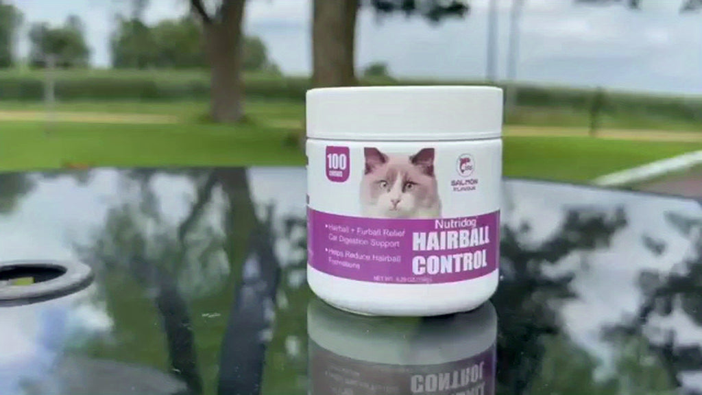 Cat Hairball Supplement Soft Chews, 100 Count Salmon Flavor Hairball Aid for Cats, Convenient Chew Format for Your Cat Care Routine