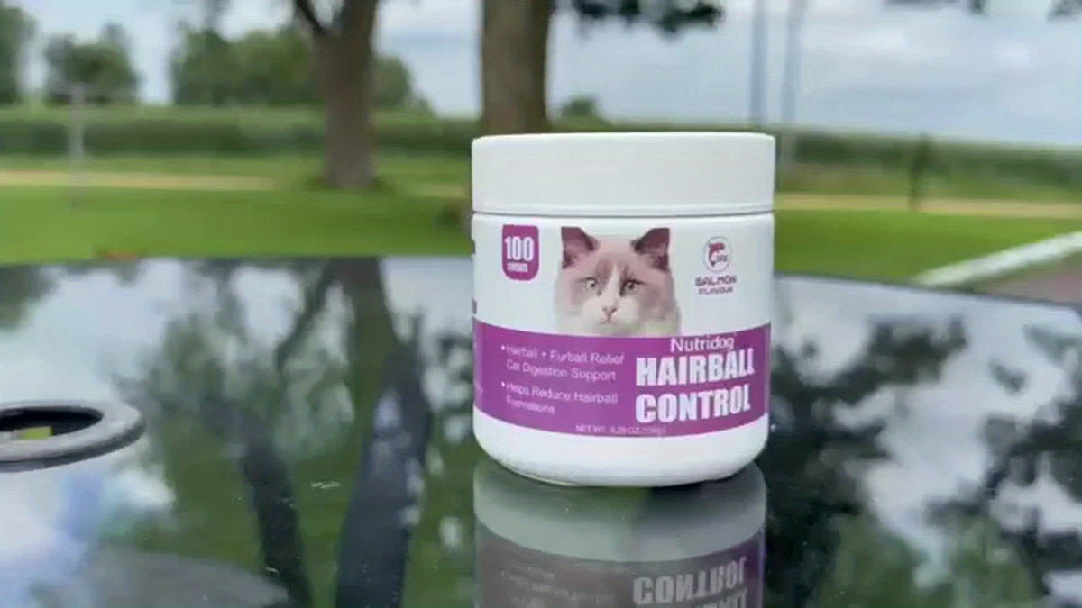 Cat Hairball Supplement Soft Chews, 100 Count Salmon Flavor Hairball Aid for Cats, Convenient Chew Format for Your Cat Care Routine