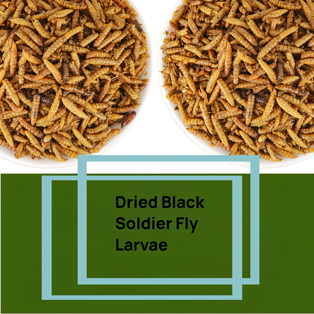 Dried Black Soldier Fly Treats 17.99oz, Larvae Snacks Listed for Chickens, Ducks, Birds and Hamsters, Supplemental Insect Feed for Animal Care