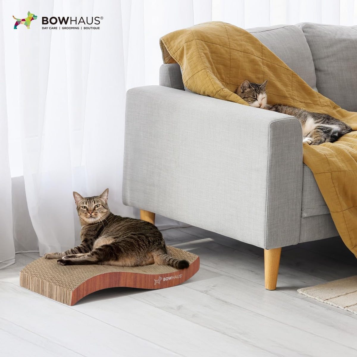 Reversible Cat Scratcher Lounger for Indoor Cats, Large Scratching Pad for Daily Stretching and Rest, Basic 8-Piece or Curved 1-Piece Options