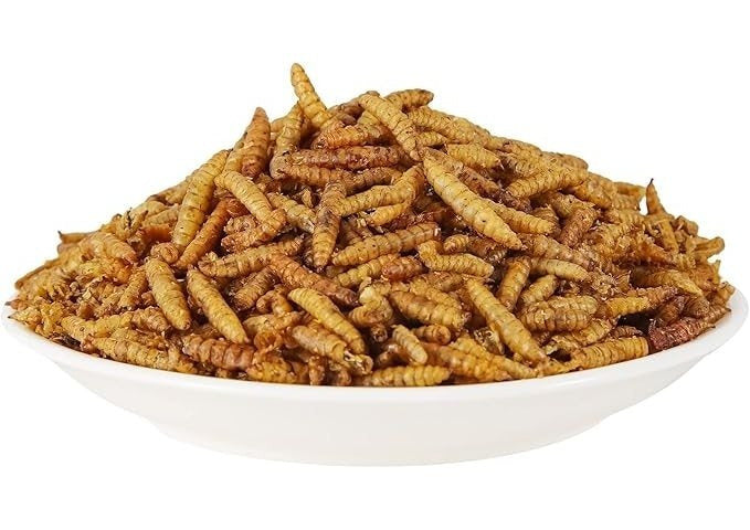 Bulk Chicken Grubs, Dried Black Soldier Fly Larvae Treats in 10, 20 or 40 lb Sizes for Backyard Chickens, Ducks and Quail Feeding Routines