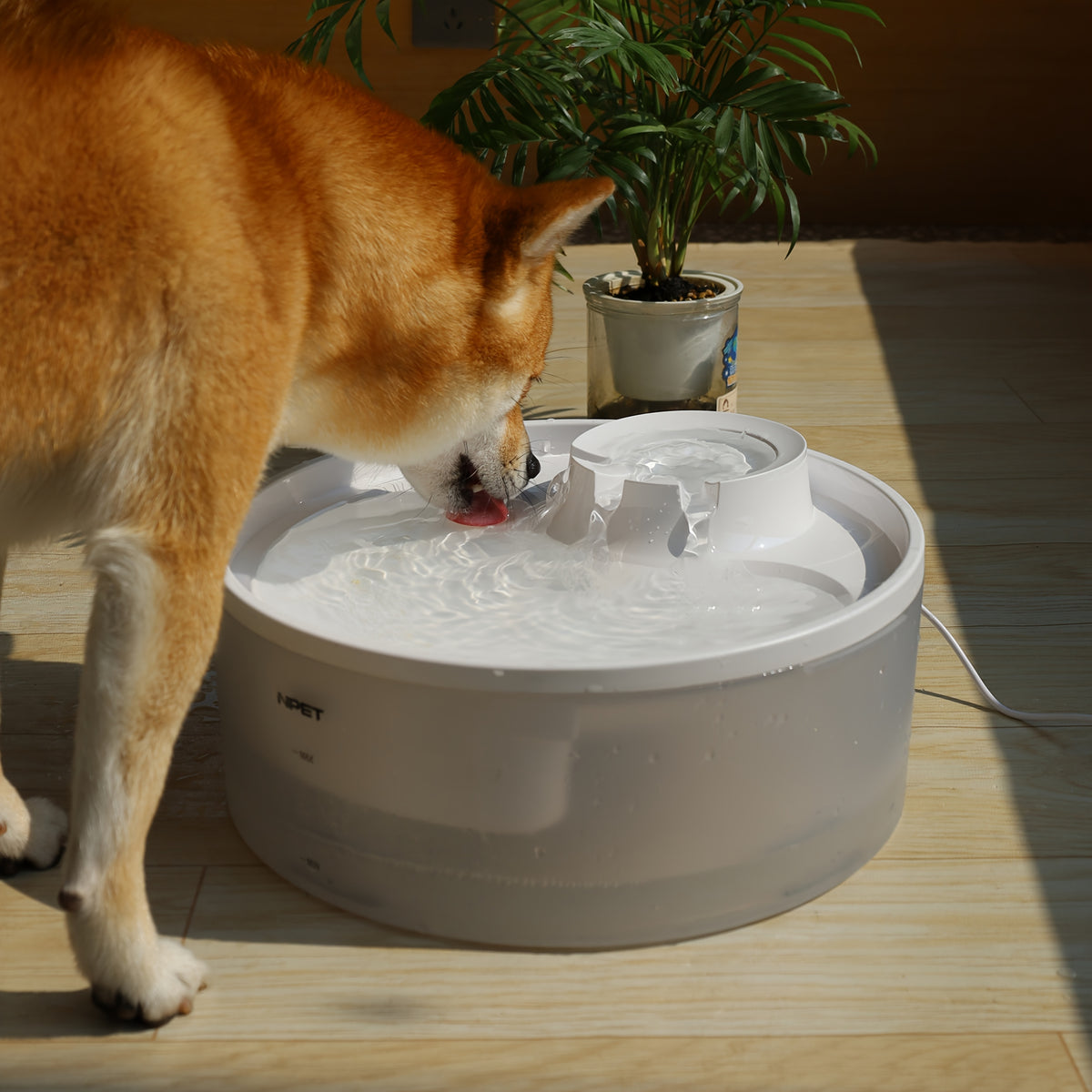 Large Dog Water Fountain DF30, 5L or 8L Flowing Pet Drinking Dispenser for Multi-Pet Homes with Selected Filter Bundles and Separate Filter Option