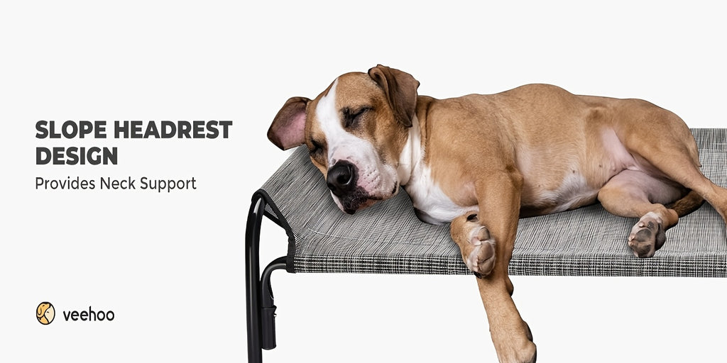 Elevated Dog Bed with Sloped Headrest, Breathable Raised Pet Cot in M to XXL Sizes for Indoor Lounging, Outdoor Rest and Camping