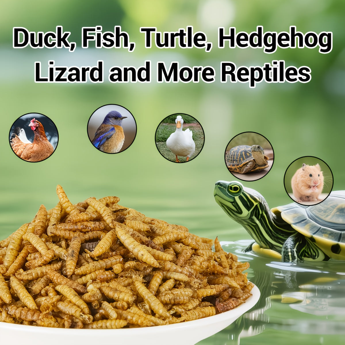 Dried Black Soldier Fly Treats 17.99oz, Larvae Snacks Listed for Chickens, Ducks, Birds and Hamsters, Supplemental Insect Feed for Animal Care