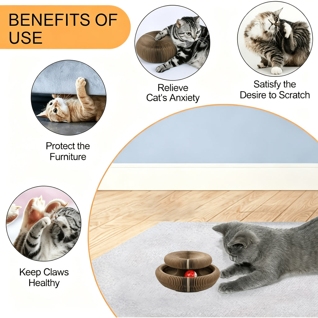 Magic Organ Cat Scratcher Board with Ball Play, Interactive Scratching Toy for Indoor Cats, Everyday Activity and Enrichment, 1 or 2 Piece Options