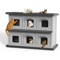 Feral Cat Shelter with Double-Layer Design, Black Indoor Outdoor Cat House for Stray Cats and Multi-Pet Resting Spaces, Sturdy Construction