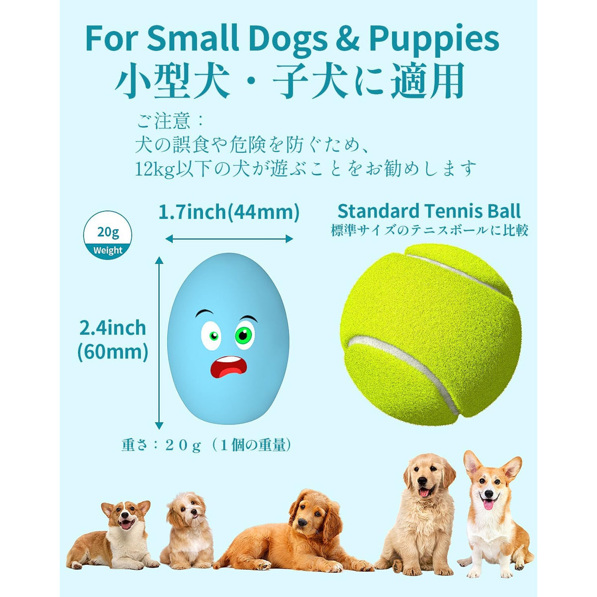 Squeaky Egg Dog Balls 10 Pack for Puppies and Small Dogs, Bouncy Oval Fetch Toys That Float for Supervised Chase and Water Play, No Batteries Needed