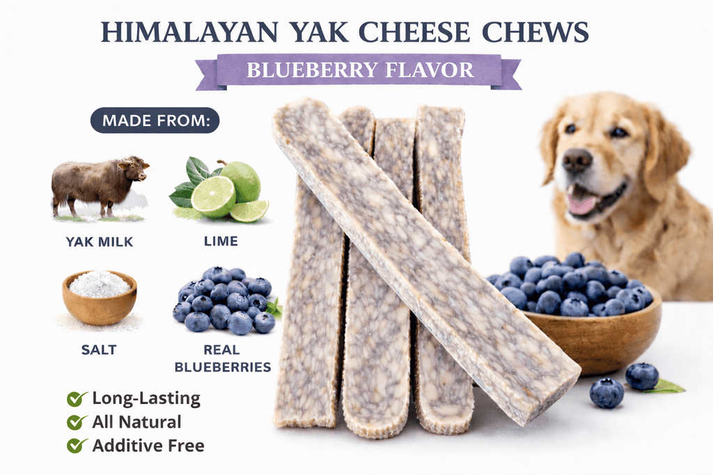 Yak Cheese Chews for Dogs, Blueberry Himalayan Dog Treats with Yak Milk and Lime, Grain-Free High-Protein Firm Chews for Medium and Large Dogs
