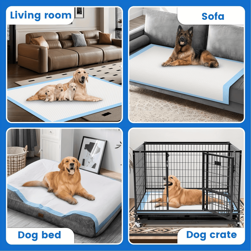 Pet Training Pads 36 x 30 or 24 x 24 Inches, Thick Disposable Absorbent Puppy Pee Pads with Leak Protection and Odor Control, 50 to 300 Count Options