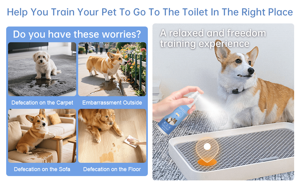 Puppy and Kitten Potty Training Spray, Indoor Pet House Training Aid in Spray Bottles for Consistent Toilet Routines, 2 or 4 Piece Pack Options