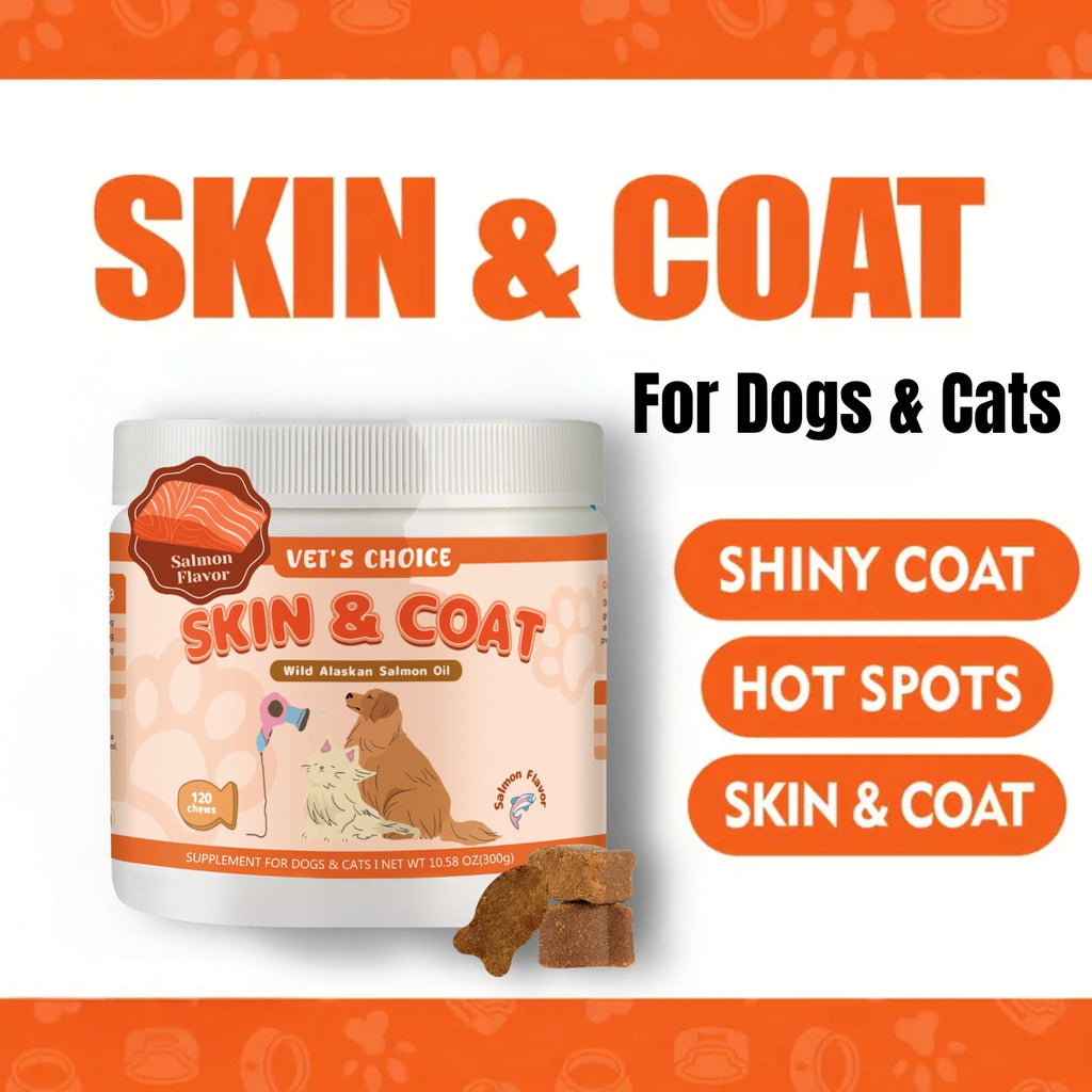Salmon Oil Soft Chews for Dogs and Cats, 120 Count Omega-3 Fish Oil Supplement for Skin and Coat Care, Salmon Flavor Pet Chews, 300g