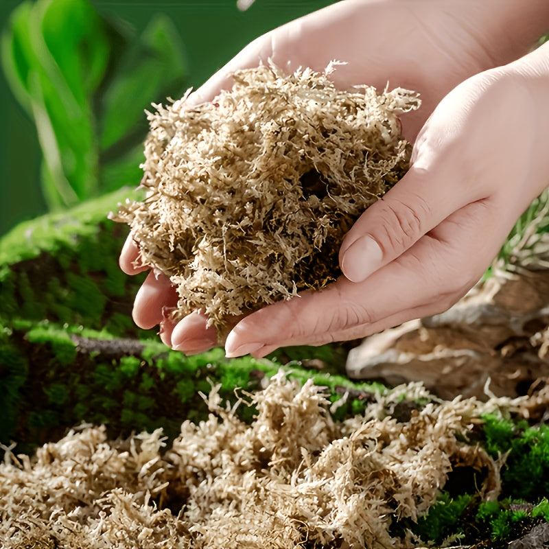 Peat Moss for Reptile Habitats, Orchids and Carnivorous Plants, Compressed Water-Expanding Dry Moss in 100g or 200g Packs for Planting Projects
