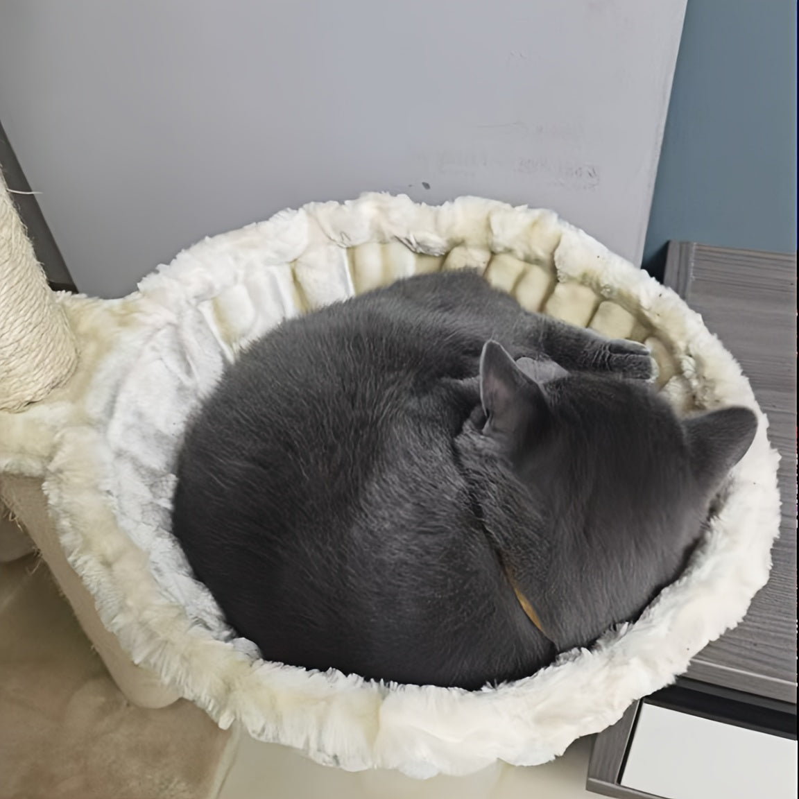 Cat Tree Replacement Hammock, Deep Plush Basket Bed for Compatible Cat Towers and Scratching Posts, Cozy Indoor Lounging Accessory in Three Colors